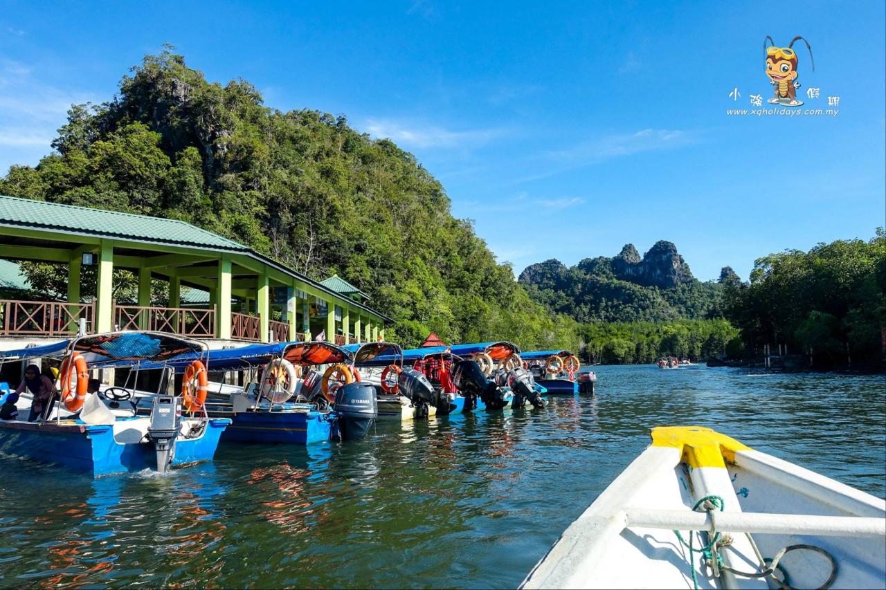 Jelajahi Ekosistem Unik Hutan Bakau Langkawi dengan Mangrove Tour yang Menawan